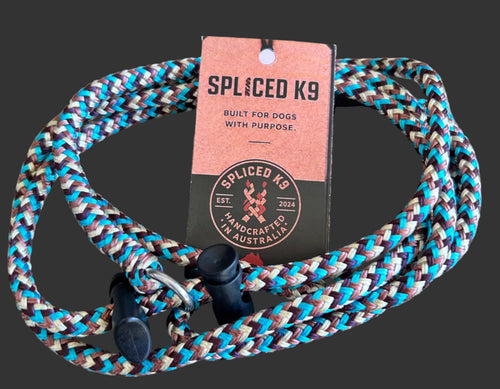 Dual Toggle Slip Lead