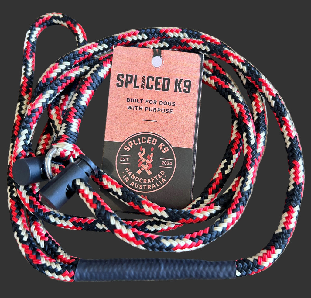 Dual Toggle Slip Lead